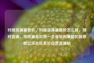 对接货源最低价,对接货源最低价怎么算,接对货源,寻找最低价格—企业采购策略的新思路亿乐社区低价自营货源站