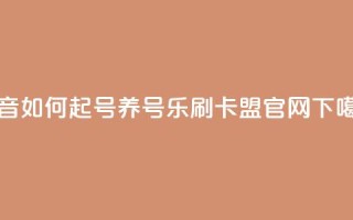 抖音如何起号养号 - 乐刷卡盟官网
