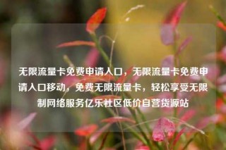 无限流量卡免费申请入口,无限流量卡免费申请入口移动,免费无限流量卡,轻松享受无限制网络服务亿乐社区低价自营货源站