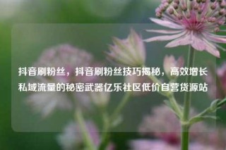 抖音刷粉丝，抖音刷粉丝技巧揭秘，高效增长私域流量的秘密武器亿乐社区低价自营货源站