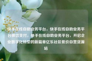 快手在线自助业务平台,快手在线自助业务平台微信支付,快手在线自助业务平台,开启企业数字化转型的新篇章亿乐社区低价自营货源站