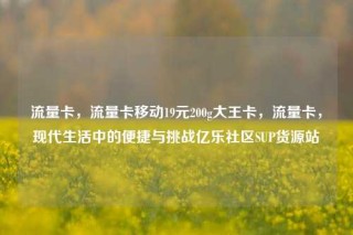 流量卡，流量卡移动19元200g大王卡，流量卡，现代生活中的便捷与挑战亿乐社区SUP货源站