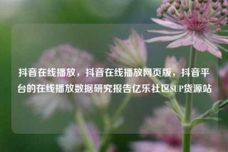 抖音在线播放,抖音在线播放网页版,抖音平台的在线播放数据研究报告亿乐社区SUP货源站