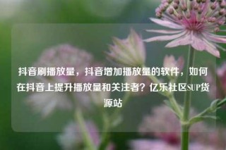 抖音刷播放量,抖音增加播放量的软件,如何在抖音上提升播放量和关注者?亿乐社区SUP货源站