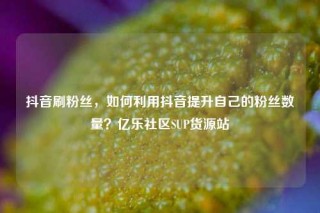 抖音刷粉丝,如何利用抖音提升自己的粉丝数量?亿乐社区SUP货源站
