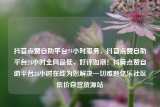 抖音点赞自助平台24小时服务,抖音点赞自助平台24小时全网最低,好评如潮!抖音点赞自助平台24小时在线为您解决一切难题亿乐社区低价自营货源站