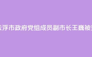 广东省云浮市政府党组成员、副市长王巍被查