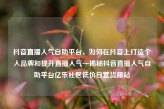 抖音直播人气自助平台,如何在抖音上打造个人品牌和提升直播人气—揭秘抖音直播人气自助平台亿乐社区低价自营货源站