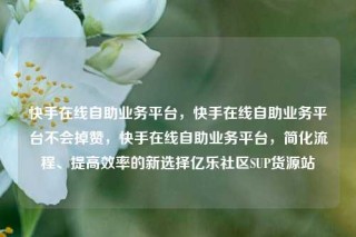 快手在线自助业务平台,快手在线自助业务平台不会掉赞,快手在线自助业务平台,简化流程、提高效率的新选择亿乐社区SUP货源站