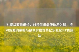 对接货源最低价,对接货源最低价怎么算,接对货源的策略与最低价格优势亿乐社区SUP货源站