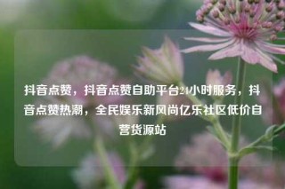 抖音点赞，抖音点赞自助平台24小时服务，抖音点赞热潮，全民娱乐新风尚亿乐社区低价自营货源站