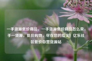 一手货源低价商品,一手货源低价商品怎么卖,手一货源,低价购物,尽在您的指尖!亿乐社区低价自营货源站