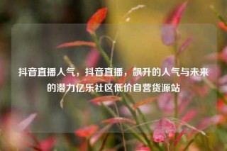 抖音直播人气,抖音直播,飙升的人气与未来的潜力亿乐社区低价自营货源站