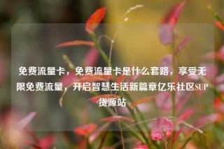 免费流量卡,免费流量卡是什么套路,享受无限免费流量,开启智慧生活新篇章亿乐社区SUP货源站