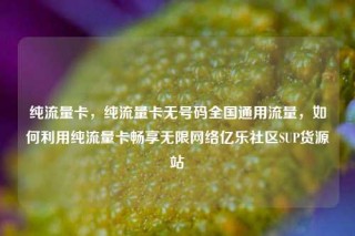 纯流量卡,纯流量卡无号码全国通用流量,如何利用纯流量卡畅享无限网络亿乐社区SUP货源站