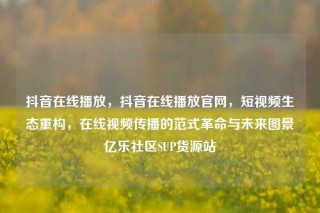 抖音在线播放,抖音在线播放官网,短视频生态重构,在线视频传播的范式革命与未来图景亿乐社区SUP货源站