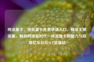 纯流量卡,纯流量卡免费申请入口,畅享无限流量,畅游网络新时代—纯流量卡的魅力与应用亿乐社区SUP货源站