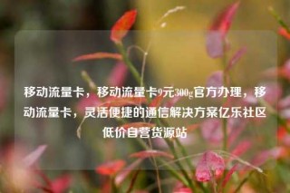 移动流量卡,移动流量卡9元300g官方办理,移动流量卡,灵活便捷的通信解决方案亿乐社区低价自营货源站