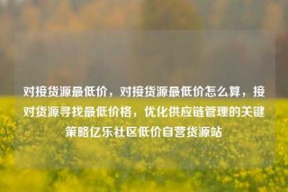 对接货源最低价,对接货源最低价怎么算,接对货源寻找最低价格,优化供应链管理的关键策略亿乐社区低价自营货源站