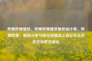 哔哩哔哩播放,哔哩哔哩播放量收益计算,哔哩哔哩,视频分享与娱乐的潮流之选亿乐社区低价自营货源站