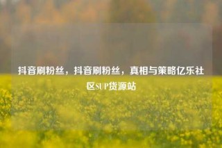 抖音刷粉丝,抖音刷粉丝,真相与策略亿乐社区SUP货源站
