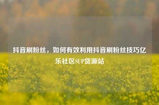 抖音刷粉丝，如何有效利用抖音刷粉丝技巧亿乐社区SUP货源站
