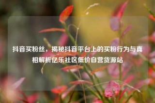 抖音买粉丝,揭秘抖音平台上的买粉行为与真相解析亿乐社区低价自营货源站