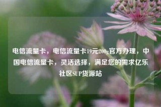 电信流量卡，电信流量卡19元200g官方办理，中国电信流量卡，灵活选择，满足您的需求亿乐社区SUP货源站