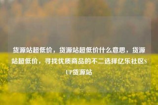 货源站超低价,货源站超低价什么意思,货源站超低价,寻找优质商品的不二选择亿乐社区SUP货源站