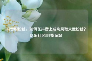 抖音刷粉丝,如何在抖音上成功刷取大量粉丝?亿乐社区SUP货源站