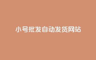 dy小号批发自动发货网站,网红商城在线下单 - 拼多多无限刀软件 - 拼多多提现套路完整流程
