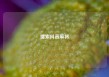 搜索抖音麻将
