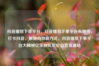 抖音播放下单平台,抖音播放下单平台有哪些,打卡抖音,解锁购物新方式,抖音播放下单平台大揭秘亿乐社区低价自营货源站