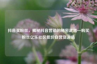 抖音买粉丝,揭秘抖音营销的秘密武器—购买粉丝亿乐社区低价自营货源站