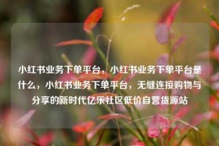 小红书业务下单平台,小红书业务下单平台是什么,小红书业务下单平台,无缝连接购物与分享的新时代亿乐社区低价自营货源站