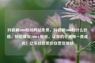 抖音刷1000粉丝网站免费,抖音刷1000粉什么价格,轻松赚取1000+粉丝,让你的小视频一夜成名!亿乐社区低价自营货源站