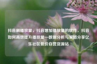 抖音刷播放量，抖音增加播放量的软件，抖音如何高效提升播放量—数据分析与策略分享亿乐社区低价自营货源站