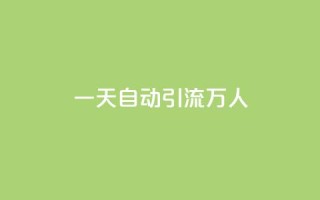 qq一天自动引流5万人 - 如何利用QQ实现每天自动吸引5万人流量~