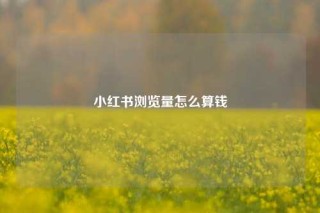 小红书浏览量怎么算钱