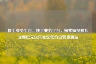 快手业务平台,快手业务平台,探索短视频社交新纪元亿乐社区低价自营货源站