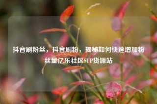 抖音刷粉丝，抖音刷粉，揭秘如何快速增加粉丝量亿乐社区SUP货源站
