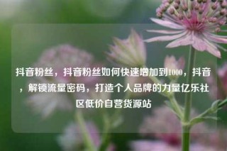 抖音粉丝,抖音粉丝如何快速增加到1000,抖音,解锁流量密码,打造个人品牌的力量亿乐社区低价自营货源站