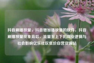 抖音刷播放量,抖音增加播放量的软件,抖音刷播放量现象背后,流量至上下的商业逻辑与社会影响亿乐社区低价自营货源站