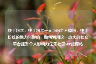 快手粉丝,快手粉丝一元10000个不掉粉,快手粉丝的魅力与影响,如何利用这一庞大的社交平台提升个人影响力亿乐社区SUP货源站