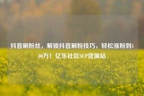 抖音刷粉丝,解锁抖音刷粉技巧,轻松涨粉到100万!亿乐社区SUP货源站