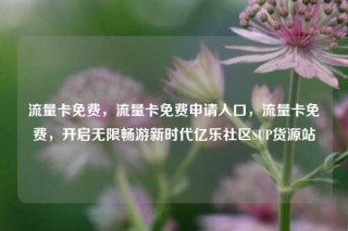 流量卡免费,流量卡免费申请入口,流量卡免费,开启无限畅游新时代亿乐社区SUP货源站