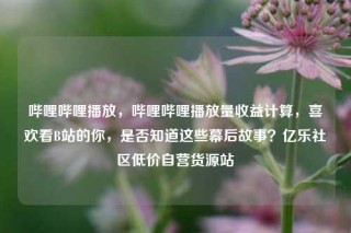 哔哩哔哩播放,哔哩哔哩播放量收益计算,喜欢看B站的你,是否知道这些幕后故事?亿乐社区低价自营货源站