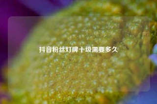 抖音粉丝灯牌十级需要多久