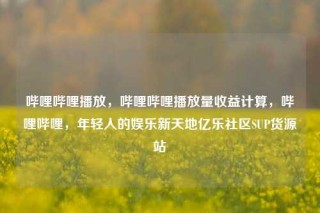 哔哩哔哩播放，哔哩哔哩播放量收益计算，哔哩哔哩，年轻人的娱乐新天地亿乐社区SUP货源站