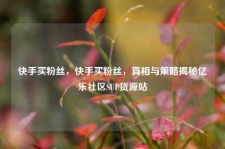 快手买粉丝,快手买粉丝,真相与策略揭秘亿乐社区SUP货源站